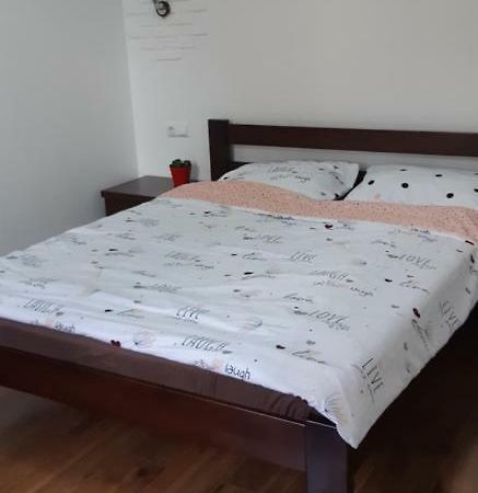 Transfer Apartment Lviv Eksteriør billede